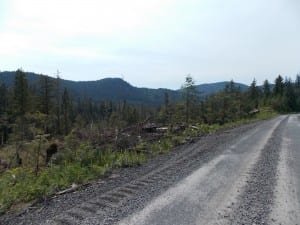 DSCN0849