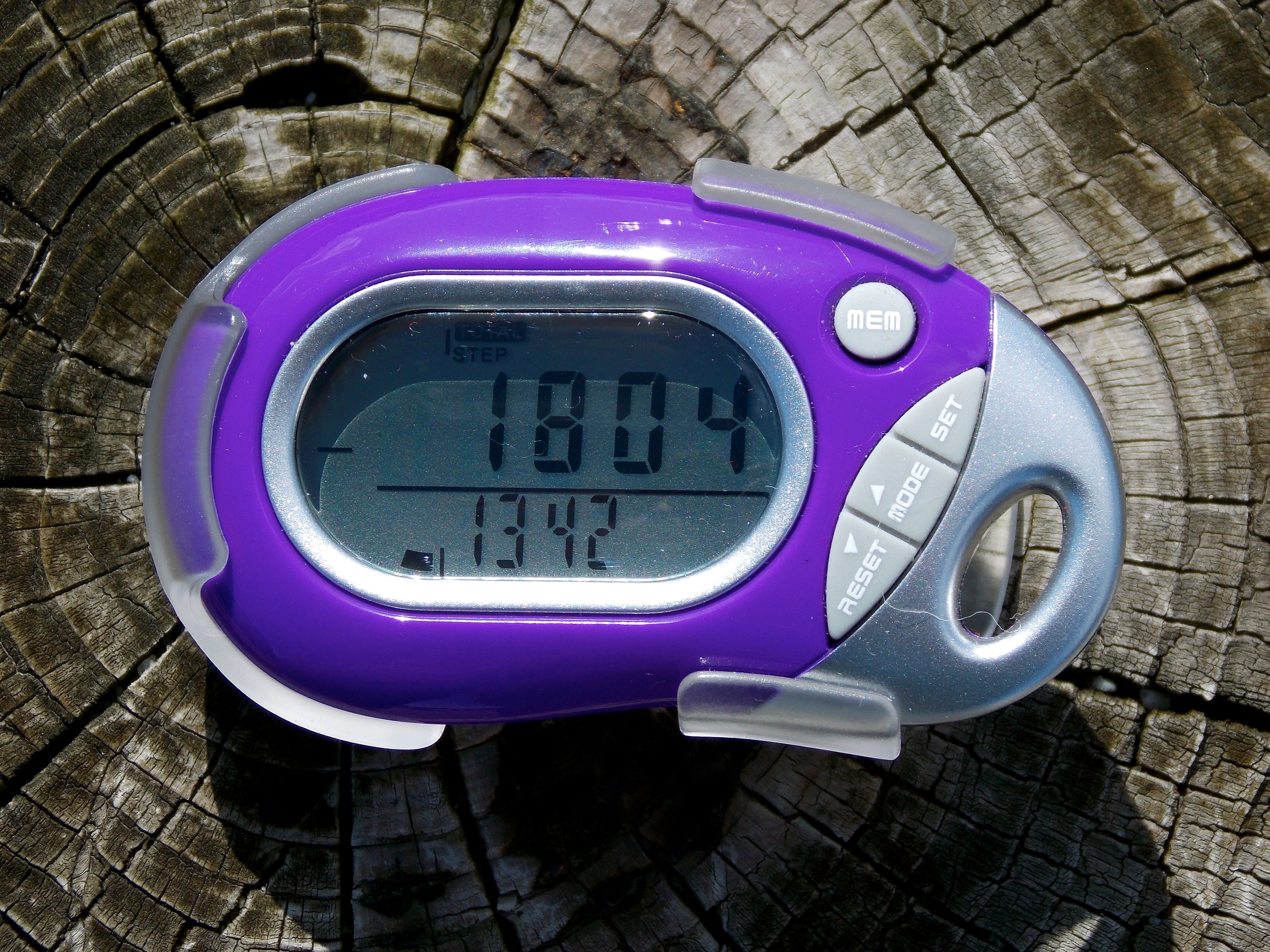 Petersburg begins 2nd annual Pedometer Challenge KFSK