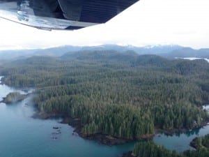 Northern Prince of Wales Island near Point Baker (KFSK file photo)