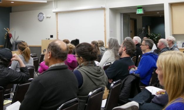 Petersburg holds town hall meeting on state budget