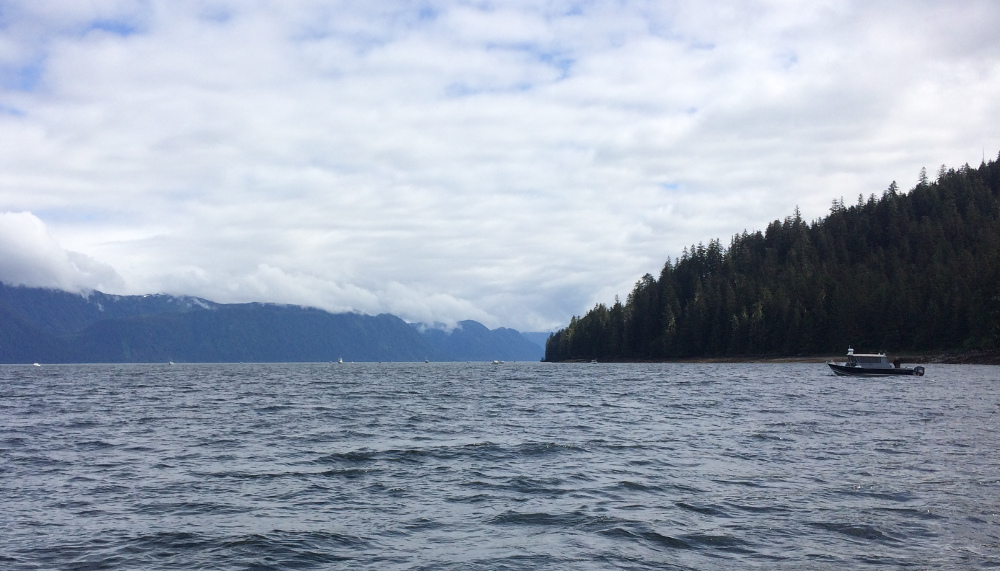 Petersburg may look at more areas for lower property tax KFSK